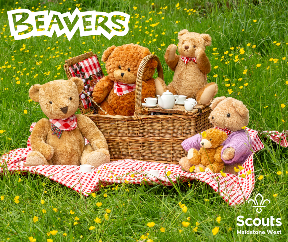 Beaver Teddy Bear Picnic
